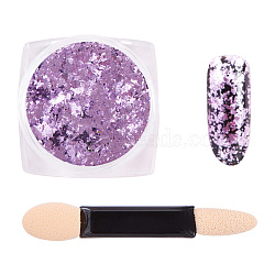 Nail Art Glitter Flakes, Foil Flake Nail Art Pigment Dust Chrome Powder, with One Brush, Plum, 30x30x17mm, about 0.3g/box(MRMJ-Q046-012H)