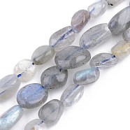 Natural Labradorite Beads Strands, Tumbled Stone, Nuggets, 5~13x5~10x3~8mm, Hole: 1mm, about 40~60pcs/strand, 14.57 inch~15.74 inch(37~40cm)(X-G-S359-139)