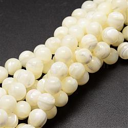 Natural Sea Shell Beads Strands, Round, Creamy White, 8mm, Hole: 0.8mm, about 51pcs/strand, 15.75 inch(SSHEL-K013-8mm-A)