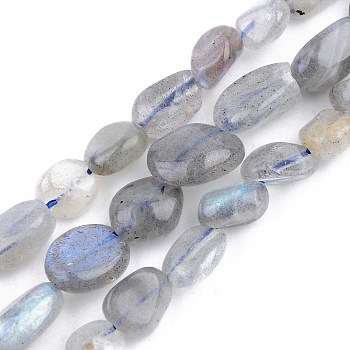 Natural Labradorite Beads Strands, Tumbled Stone, Nuggets, 5~13x5~10x3~8mm, Hole: 1mm, about 40~60pcs/strand, 14.57 inch~15.74 inch(37~40cm)
