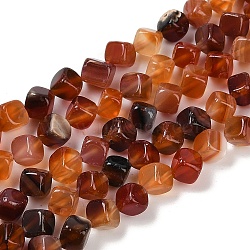 Natural Carnelian(Dyed & Heated) Beads Strands, Cube, 7.5~8.5x6.5~8.5x5.5~6.5mm, Hole: 0.7mm, about 52~56pcs/strand, 15.16~15.87''(38.5~40.3cm)(G-A257-A02-01)