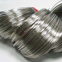 Steel Memory Wire, for Wrap Bracelets Making, Nickel Free, Platinum, 18 Gauge, 1mm, 60mm inner diameter, 750 circles/1000g(TWIR-R006-1.0x60-P-NF)