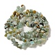 Brins de perles d'amazonite de fleurs naturelles(G-M205-12-01)-8