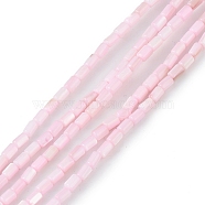 Natural Freshwater Shell Dyed Beads Strands, Column, Pink, 4.8x3mm, Hole: 0.8mm, about 78pcs/strand, 14.96''(38cm)(SHEL-M018-12-09)