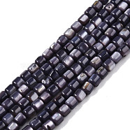 Natural Freshwater Shell Beads Strands, Dyed, Column, Dark Slate Blue, 3.5x3.5mm, Hole: 0.8mm, about 110~113pcs/strand, 14.69 inch~15.08 inch(37.3~38.3cm)(SHEL-N003-33-A01)