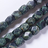Natural Kambaba Jasper Beads Strands, Faceted, Rectangle, 10.5~11.5x8~9mm, Hole: 1mm, about 37pcs/strand, 16.1 inch(G-K267-08A)