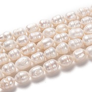 Natural Cultured Freshwater Pearl Beads Strands, Rice, Bisque, 12~13.5x9~10mm, Hole: 0.7mm, about 30pcs/strand, 14.17 inch(36cm)(PEAR-L033-84-01)