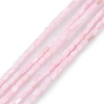 Natural Freshwater Shell Dyed Beads Strands, Column, Pink, 4.8x3mm, Hole: 0.8mm, about 78pcs/strand, 14.96''(38cm)