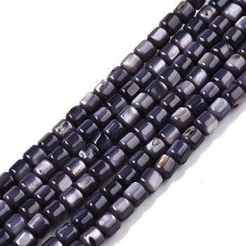 Natural Freshwater Shell Beads Strands, Dyed, Column, Dark Slate Blue, 3.5x3.5mm, Hole: 0.8mm, about 110~113pcs/strand, 14.69 inch~15.08 inch(37.3~38.3cm)
