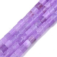 Natural Quartz Beads Strands, Dyed & Heated, Column, Plum, 6.5x6~6.5mm, Hole: 1mm, about 63~64pcs/strand, 14.96 inch~15.16 inch(38~38.5cm)(G-N326-150-A03)