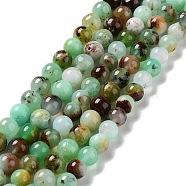 Natural Chrysoprase Beads Strands, Round, Grade AB, 8mm, Hole: 1mm, about 50pcs/strand, 15.55~15.75 inch(39.5~40cm)(G-G057-A01-02)