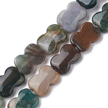 Natural Indian Agate Beads Strands, Bowknot, 16~16.5x12.5~13x5~5.5mm, Hole: 1.4mm, about 13pcs/strand, 8.46''(21.5cm)
