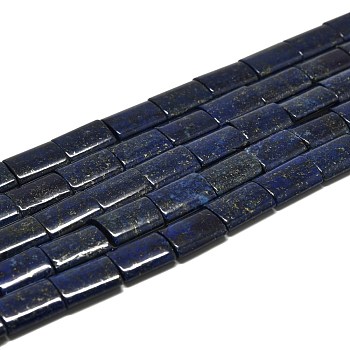 Natural Lapis Lazuli Beads Strands, Rectangle, 20~21x15x5~6mm, Hole: 0.8mm, about 19pcs/strand, 15.35''(39cm)