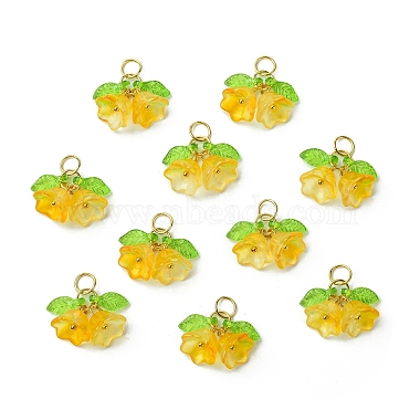 Glass Pendants(PALLOY-YW00054-07)-1