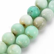 Natural Chrysoprase Beads Strands, Round, 10mm, Hole: 1mm, about 18~20pcs/strand, 7.4 inch(G-S333-10mm-037)