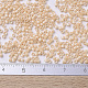 MIYUKI Delica Beads(SEED-X0054-DB0205)-4