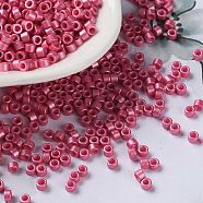 Baking Paint Glass Seed Beads, Cylinder, Cerise, 2.5x2mm, Hole: 1.4mm, about 45359pcs/pound(SEED-S042-15A-05)