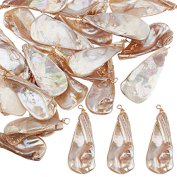20Pcs Electroplated Natural Freshwater Shell Pendants, Teardrop Charms with Eco-Friendly Round Copper Wire Loops, Golden, Seashell Color, 42.5~49x14.5~17.5x8.5~11mm, Hole: 3mm(PALLOY-WR00019)