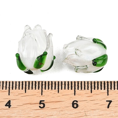 Handmade Lampwork Beads(LAMP-K045-01C)-3