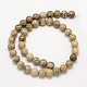 Natural Fossil Coral Round Bead Strands(X-G-N0166-05-8mm)-4