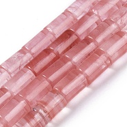 Cherry Quartz Glass Beads Strands, Column, 12x8mm, Hole: 1.2mm, about 33pcs/strand, 15.63''(39.7cm)(G-Q159-A06-01)
