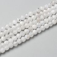 Natural Rainbow Moonstone Beads Strands, Round, Faceted, 3mm, Hole: 0.6mm, about 140pcs/strand, 15.55 inch(39.5cm)(X-G-O186-D02-01)