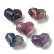 Natural Fluorite Beads, Heart, 14~14.5x18x10.5~11mm, Hole: 1mm(G-M423-01A)