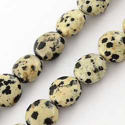 Natural Dalmation Jasper Bead Strands, Lentil, Beige, 10x5mm, Hole: 1mm, about 40pcs/strand, 15.7 inch(G-R189-14)