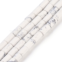 Natural Howlite Beads Strands, Column, 7.5~8.5x5~6mm, Hole: 1mm, about 45~46pcs/strand, 14.69~15.04 inch(37.3~38.2cm)(G-C128-A37-01)