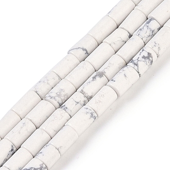 Natural Howlite Beads Strands, Column, 7.5~8.5x5~6mm, Hole: 1mm, about 45~46pcs/strand, 14.69~15.04 inch(37.3~38.2cm)