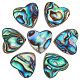 Natural Abalone Shell/Paua Shell Beads(SHEL-BBC0001-02)-1