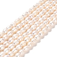 Natural Cultured Freshwater Pearl Beads Strands, Rice, Grade A+, Seashell Color, 8.5~10.5x6.5~7.5mm, Hole: 0.7mm, about 35~39pcs/strand, 13.19 ~13.58''(33.5~34.5cm)(PEAR-E016-181A)