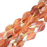Natural Banded Agate/Striped Agate Beads Strands, Dyed & Heated, Rhombus, Dark Orange, 24~28x16~18x5~7mm, Hole: 1.8mm, about 13pcs/Strand, 16.93 inch(43cm)(G-L544-049A-01)