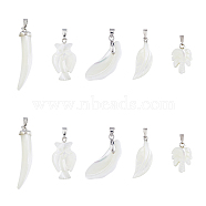 10Pcs 5 Style Natural Trochid Shell/Trochus Shell Pendants, with Platinum Tone Iron Snap on Bails, Feather & Owl & Petal, Mixed Shapes, Seashell Color, 18.5~40.5x7.5~25x3~13mm, Hole: 1.8~6mm, 2pcs/style(SSHEL-FH0001-18)