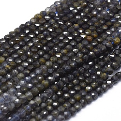 Natural Iolite Beads Strands, with Gold Point, Gradient Style, Square, Faceted, 4x4x4mm, Hole: 0.7mm, about 80pcs/Strand, 15.55 inch(39.5cm)(G-D0013-31)