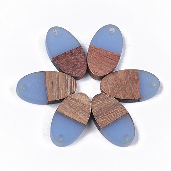 Resin & Walnut Wood Pendants, Oval, Cornflower Blue, 20x11x3.5mm, Hole: 1.8mm