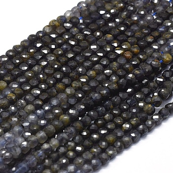 Natural Iolite Beads Strands, with Gold Point, Gradient Style, Square, Faceted, 4x4x4mm, Hole: 0.7mm, about 80pcs/Strand, 15.55 inch(39.5cm)