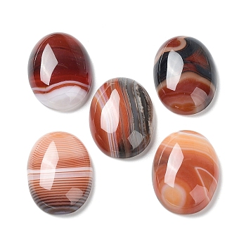 Natural Striped Agate/Banded Agate Cabochons, Dyed & Heated, Oval, Dark Red, 24.5~25x18x6.5~7mm