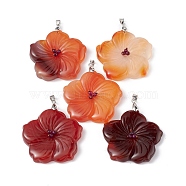 Natural Red Agate Big Pendants, Peach Blossom Charms, with Platinum Plated Alloy Snap on Bails, 57x48x9mm, Hole: 6x4mm(G-B040-01P-09)