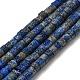 Natural Lapis Lazuli Beads Strands(G-C084-D12-02)-1