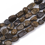 Natural Bronzite Beads Strands, Nuggets, Tumbled Stone, 5~11x5~8x3~6mm, Hole: 0.8mm, about: 52~56pcs/Strand, 15.94''(40.5cm)(G-S363-041)