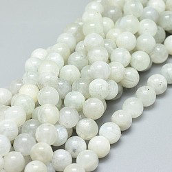 Naturelles perles pierre de lune blanc brins, ronde, 8mm, Trou: 1mm, Environ 47 pcs/chapelet, 15.55 pouce (39.5 cm)(G-F674-08-8mm)