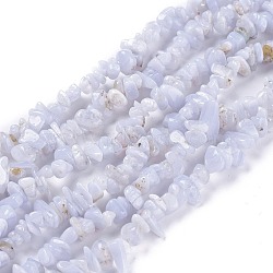 Natural Blue Lace Agate Beads Strands, Chips, 5~13x4~8x2~5mm, Hole: 0.5mm, about 323pcs/Strand, 35.98 inch(91.4cm)(G-O187-02)