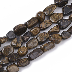 Natural Bronzite Beads Strands, Nuggets, Tumbled Stone, 5~11x5~8x3~6mm, Hole: 0.8mm, about: 52~56pcs/Strand, 15.94 inch(40.5cm)(G-S363-041)