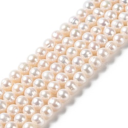 Natural Pearl Beads Strands, Round, Grade 2A+, WhiteSmoke, 6~7x6~6.5mm, Hole: 0.7mm, about 56pcs/strand, 13.78 inch(35cm)(PEAR-E018-73)