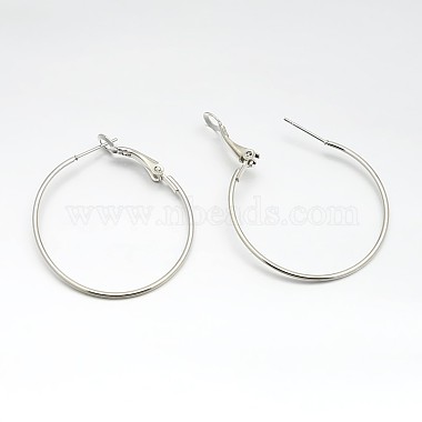 Platinum Iron Earring Hoop