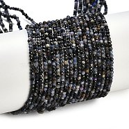 Natural Sapphire Beads Strands, Faceted, Round, 2mm, Hole: 0.5mm, about 184pcs/strand, 15.75''(40cm)(G-P553-G07-01)