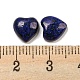 cabochons en lapis-lazuli naturel teints(G-H309-01-02)-3