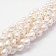 Rainbow Plated Shell Pearl Beads Strands, Grade A, teardrop, White, 9x6mm, Hole: 1mm, about 46pcs/strand, 16 inch(BSHE-L027-01-6x9)