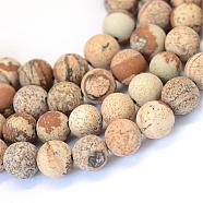 Frosted Natural Picture Jasper Round Bead Strands, 8~8.5mm, Hole: 1mm, about 47pcs/strand, 15.5 inch(G-E334-8mm-26)